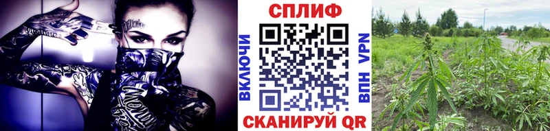 Продажа наркотиков Пудож ГАШ Кокаин Меф мяу мяу Марихуана