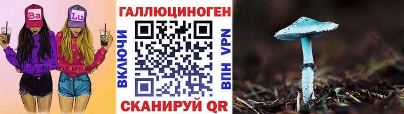 Псилоцибиновые грибы мицелий Пудож