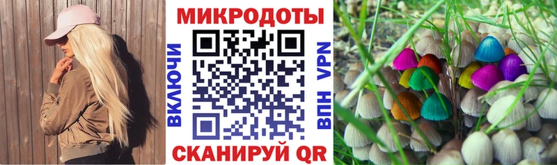 где найти наркотики  Пудож  Псилоцибиновые грибы GOLDEN TEACHER 